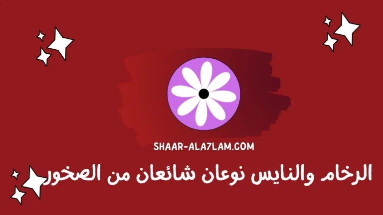 الرخام والنايس نوعان شائعان من الصخور